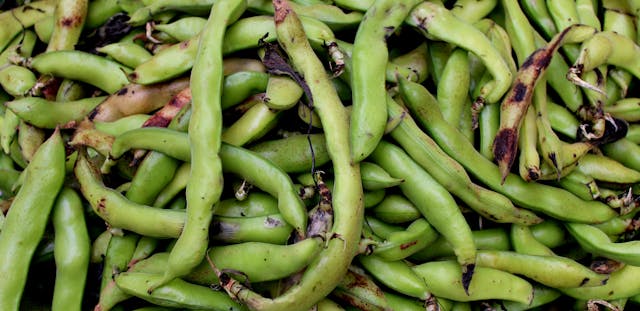 O que são produtos veganos? Entenda porque consumi-los!